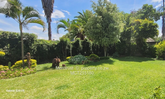 Absolutely immaculate! (Sole Mandate)