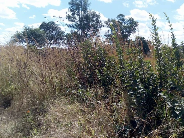 Farm & Agricultural Land