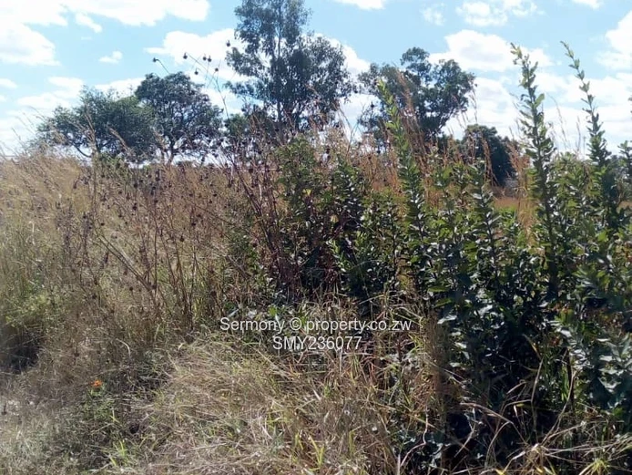 Agro-Residential Plot for Sale