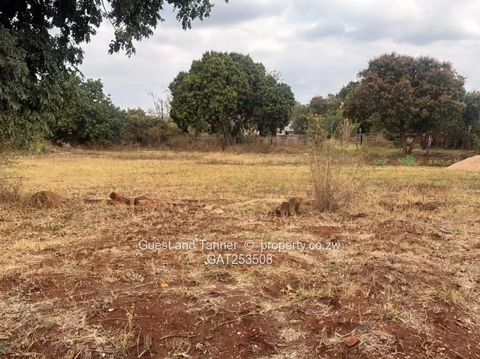 Banket Low-Density Residential Stand for Sale