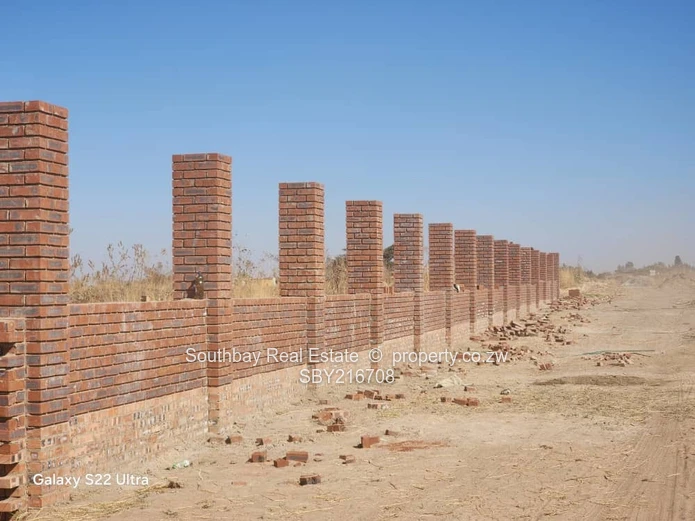 Investment Opportunity