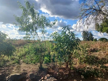 Commercial & Industrial Land