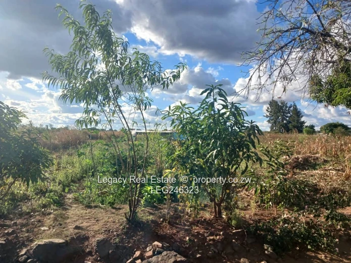 Dzivarasekwa Extension Commercial Stand For Sale – High Traffic Location