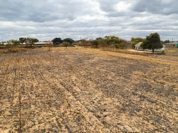 Farm & Agricultural Land