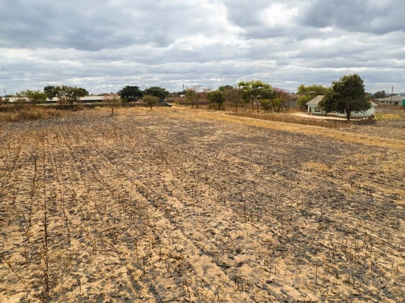 Farm & Agricultural Land