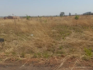 Stands & Residential Land