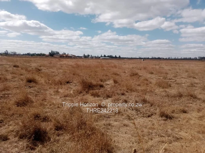 6.5 Acre Lynfield Farm – Flat Open Land, Water & Tarred Road