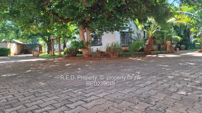 Space, Location, and Opportunity Combined In Kumalo!