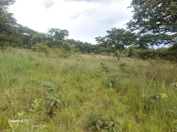 Farm & Agricultural Land