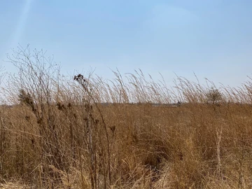 Farm & Agricultural Land