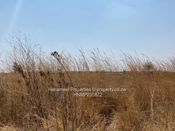 Gweru Lingfield Plots