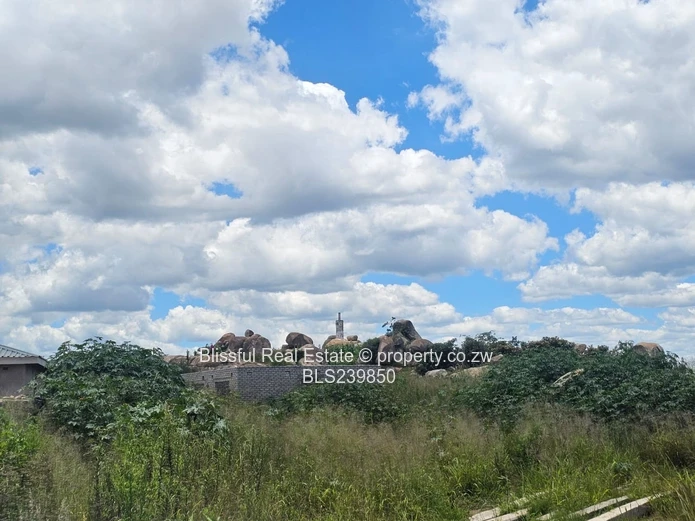 Stand for Sale in Zimre Park Extension