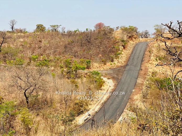 Pomona Stand For Sale  Wild Geese UZ project