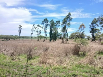 Farm & Agricultural Land