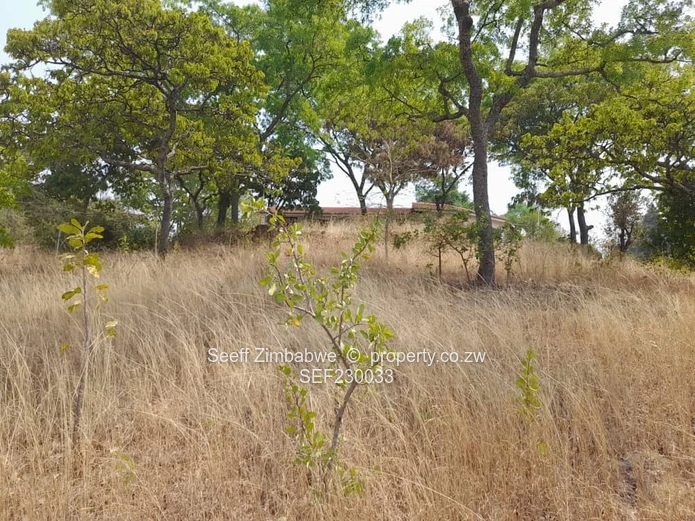 Exclusive Glen Lorne Canvas: Your Dream Home Awaits!