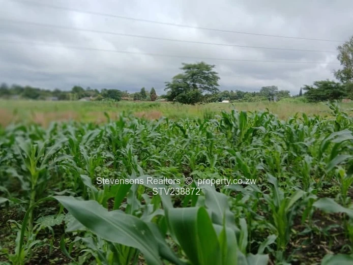 Residential Stand for Sale – Glen Lorne | US$230,000