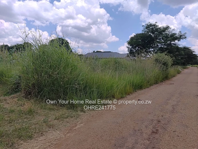 Nharira views, Norton stand for sal 