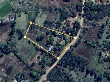 House On 4 Acres On Christon Bank Road
