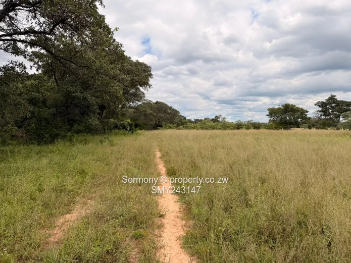 Plots for sale in Chegutu 