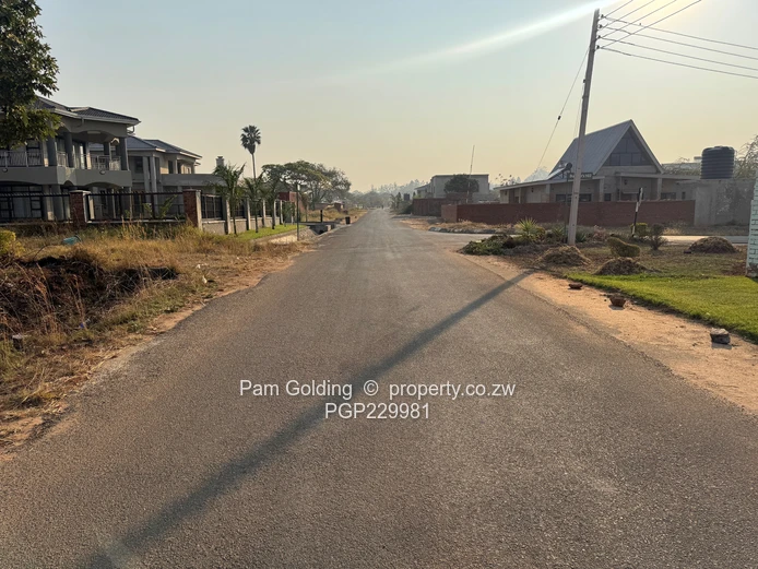 Arlington Low Density Stand For Sale