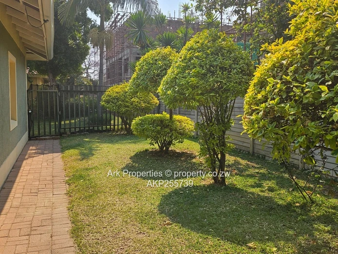 Newlands Garden Flat To Rent