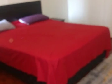 2 Bedroom Flat & Apartment