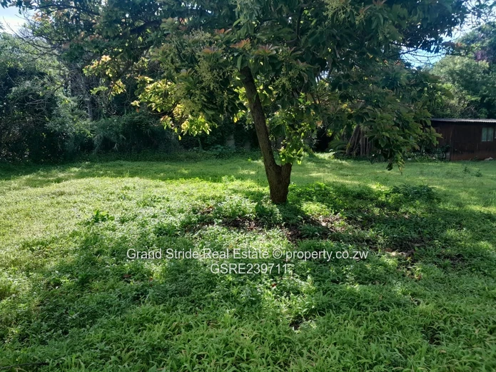 House For Sale In Mount Pleasant 