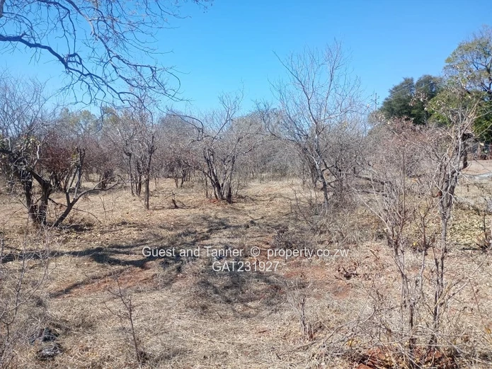 Low-Density Residential Stand for Sale – Near Zambezi River & Victoria Falls