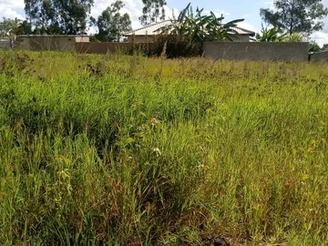 Hatfield