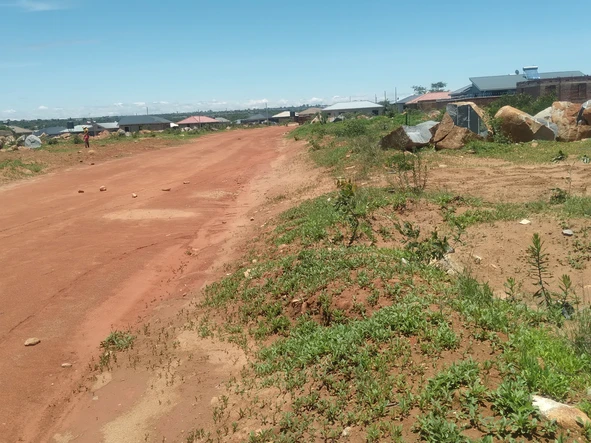 Stands & Residential Land