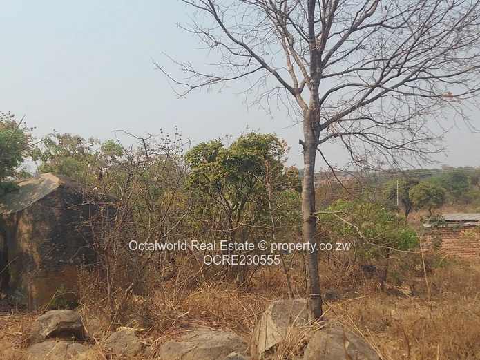 Stand for Sale – Crowhill Views 