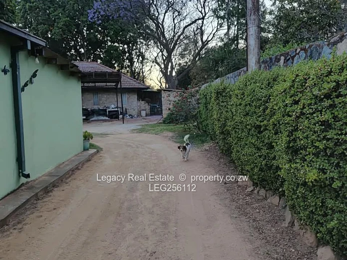 Burnside 4-Bed Oasis: Pool, Borehole & 4047m2 Garden