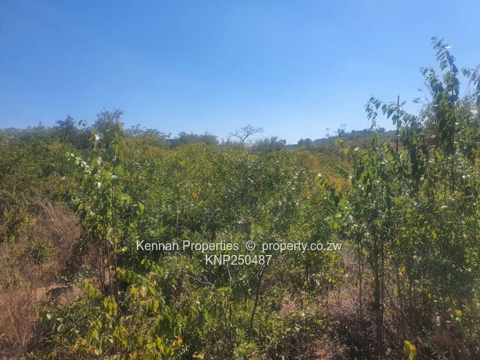 Prime 2,000sqm Residential Stand for Sale – Golden Heights, Mshumavale, Kadoma