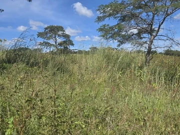 Farm & Agricultural Land