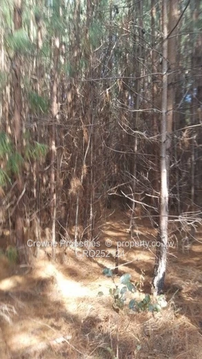 Plot For Sale