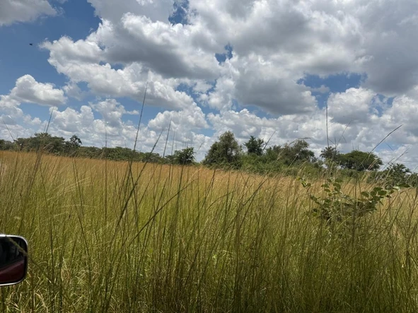 Farm & Agricultural Land