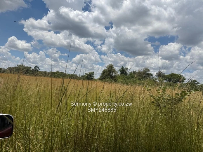 Farm for rent 