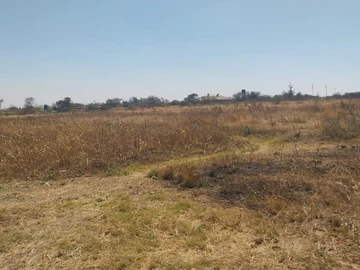 Farm & Agricultural Land