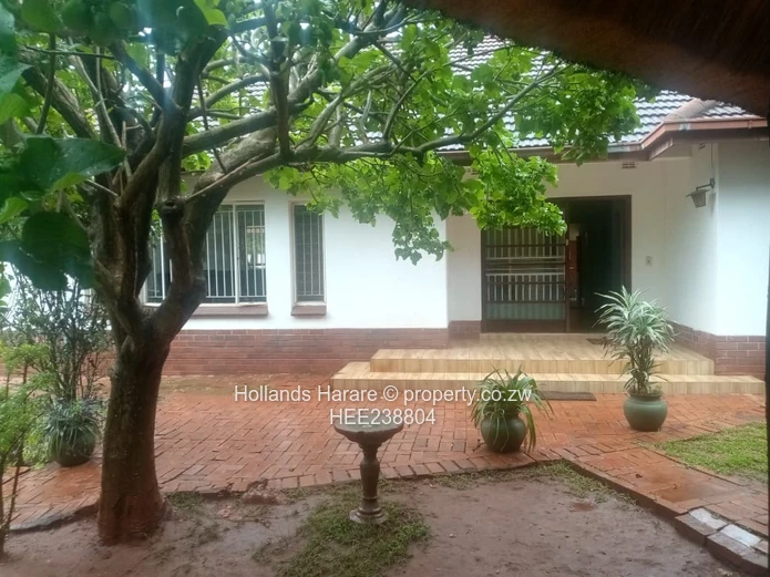 Avondale commercial property.