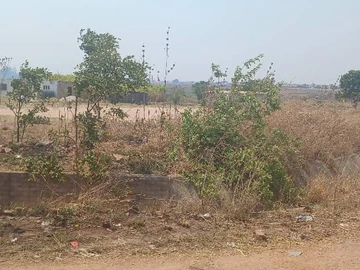 Commercial & Industrial Land