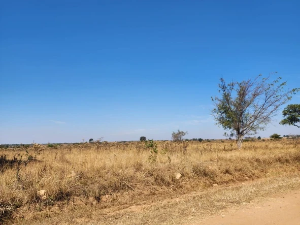 Farm & Agricultural Land