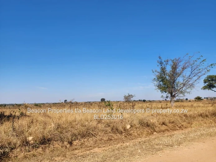 Prime Hurngwe Plots For Sale 