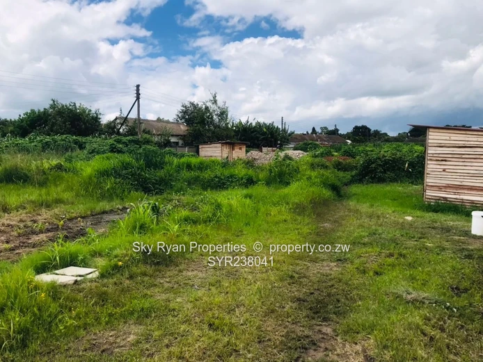 Meyrick Park Stand For Sale