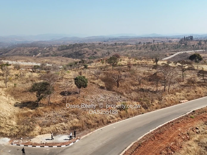 Stand for sale in Pomona Buckland Terraces (Sole Mandate)
