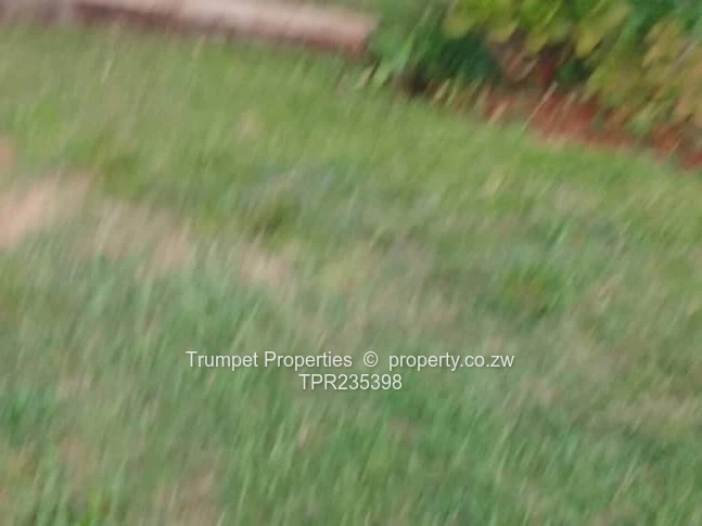 2010 m² Grassy Stand  — Carrick Creagh