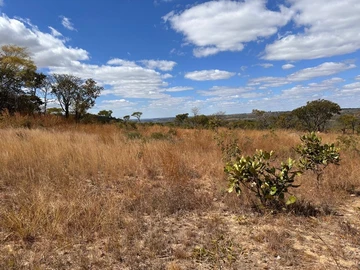 Farm & Agricultural Land