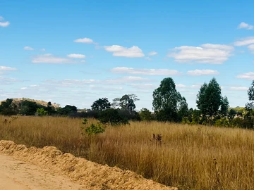 Land