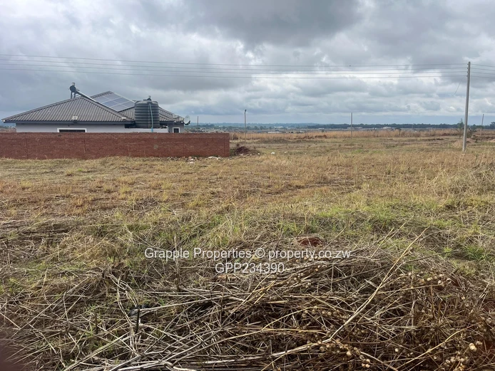 Pomona Nyeredzi Ridge  (Sole Mandate)