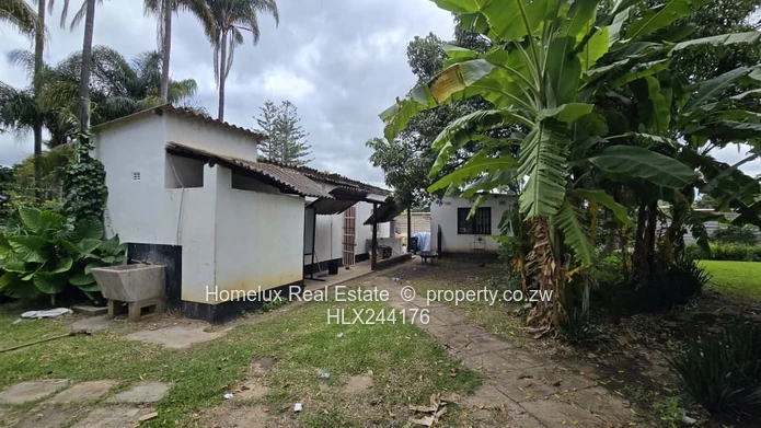 Double Storey House for Sale – Avondale (Prime Location)