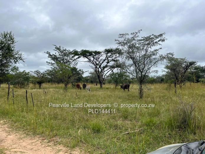 20-23ha agro-residential land,3km from the Masvingo Rd